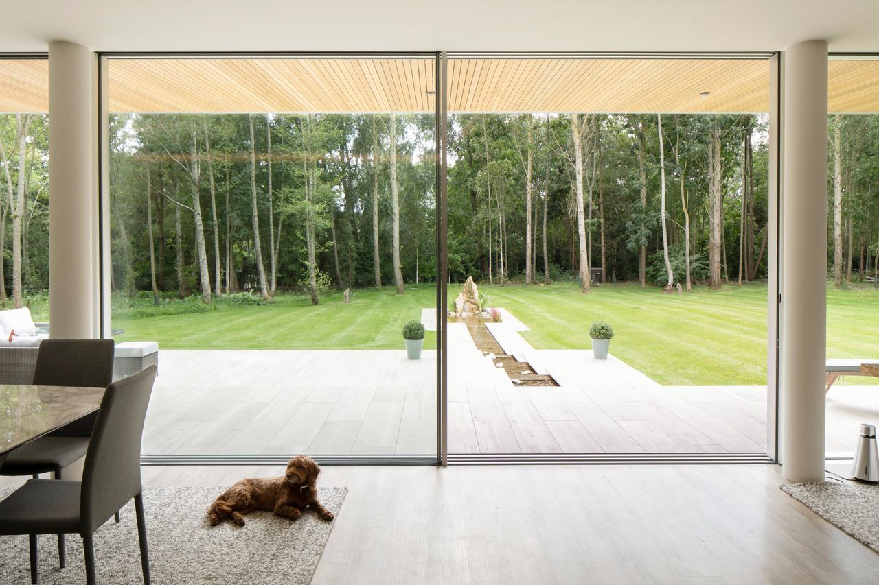 Living space looking out through full-height Sky-Frame glazing to a lawn and birch woodland
