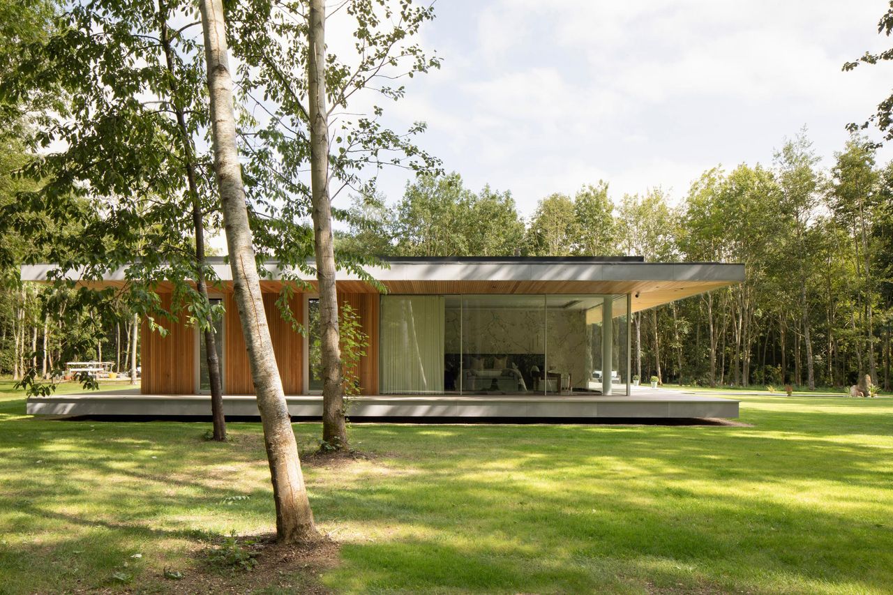 Glazed pavilion seen through birch trees, its Sky-Frame elevation reflecting the woodland