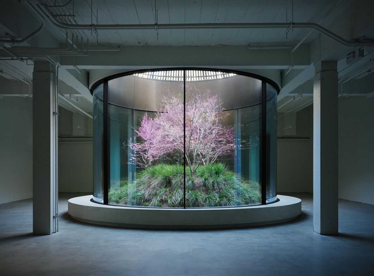 Cylindrical Sky-Frame Arc enclosure around a planted courtyard with a flowering tree, inside a concrete-framed building